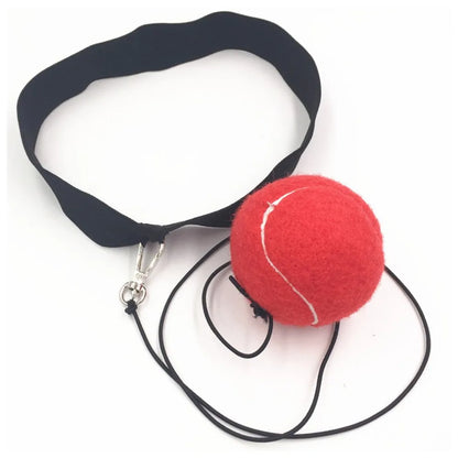 Boxing Reflex Speed Punch Ball